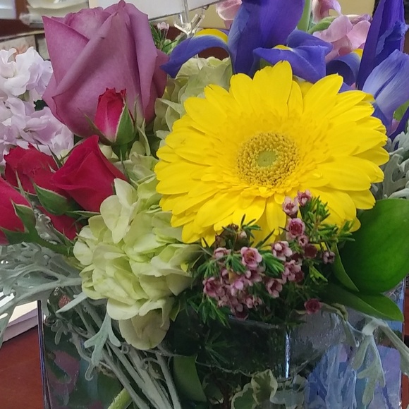 Meet your Posher, Sheila - Picture 1 of 1